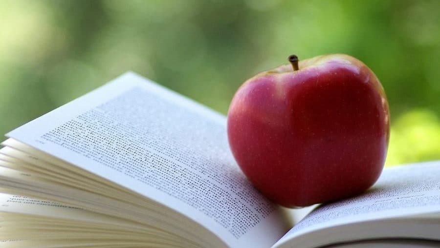 ΙΔΙΑΙΤΕΡΑ ΜΑΘΗΜΑΤΑ, Η ΜΕΓΑΛΗ ΠΛΗΓΗ